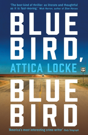 photo of book cover for Bluebird, Bluebird