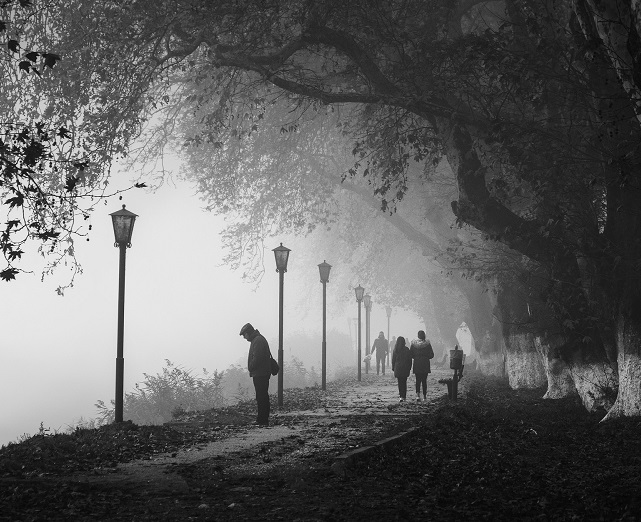 black and white photo of people walking in a park