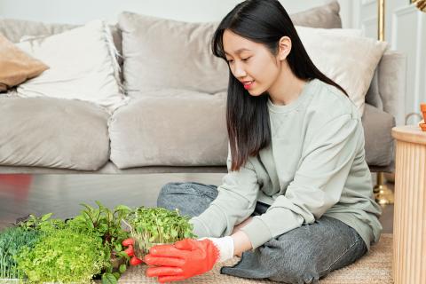 Women wearing gloves holding a container with raw sprouts. Photo by Mikhail Nilov.