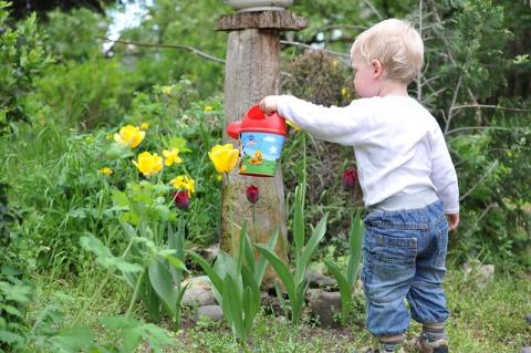 child watering flowers with watering can