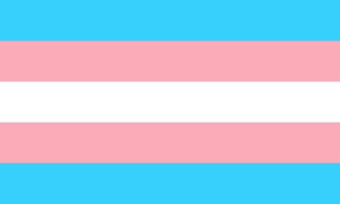 transgender flag