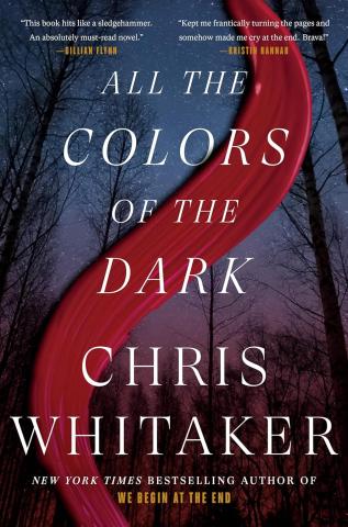 photo of book cover for All The Colors of the Dark