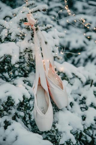 Pink ballet slippers against a generic winter background of green pine trees and snow.