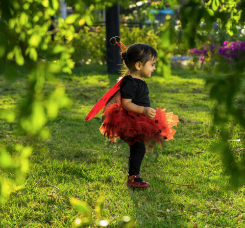 child in ladybug costume