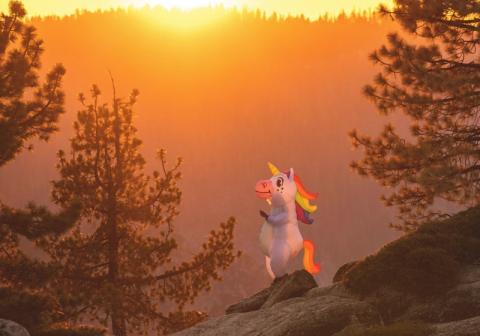 unicorn in a forest at sunset