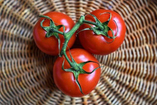 tomatoes