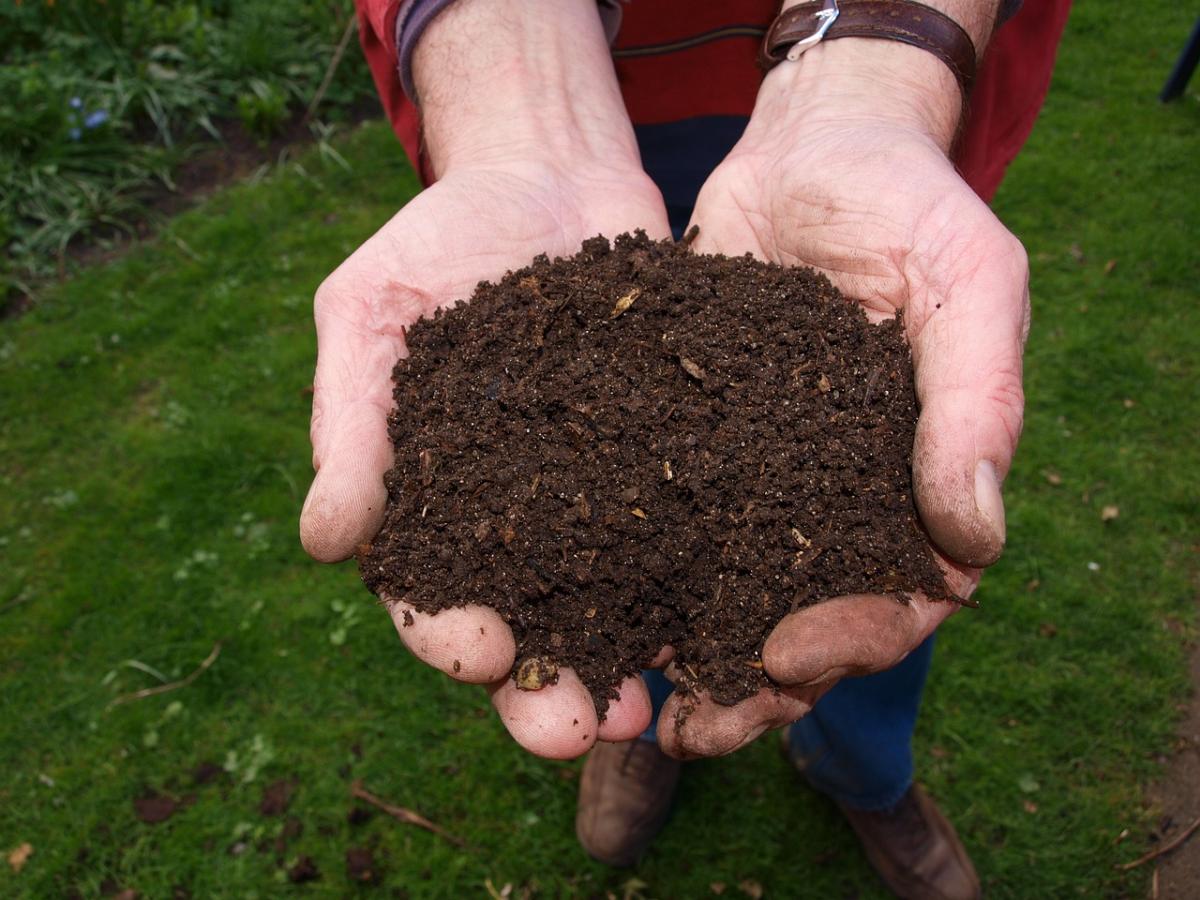 hands holding dirt