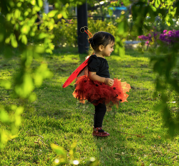child in ladybug costume