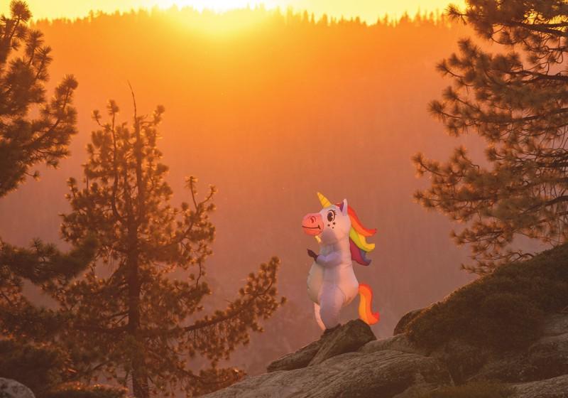 unicorn in a forest at sunset